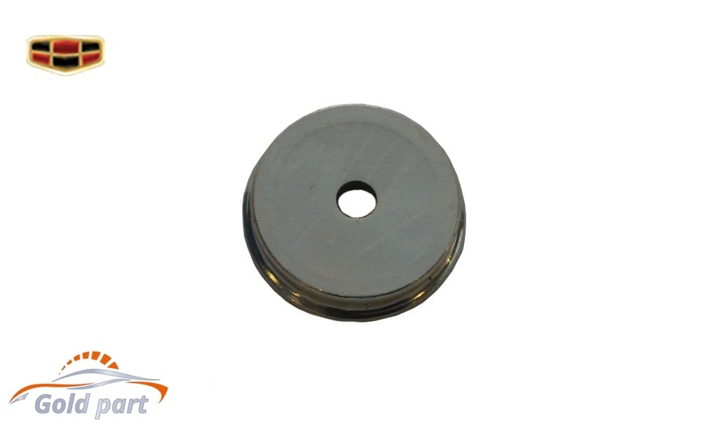 واشر کمک فنر جیلی امگرند RV