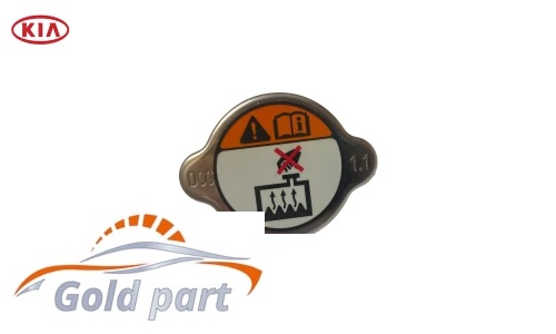 درب رادیاتور کیا سراتو