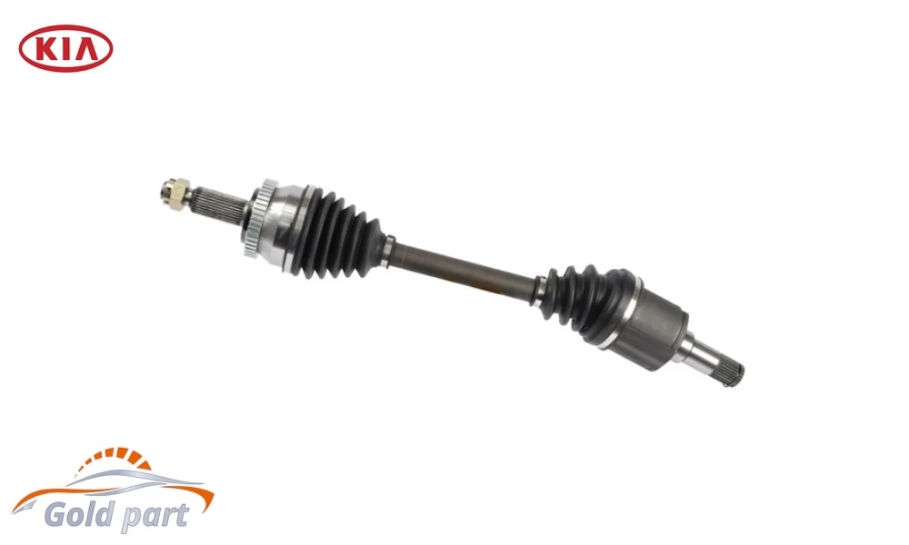 پلوس کامل چپ کیا اپیروس