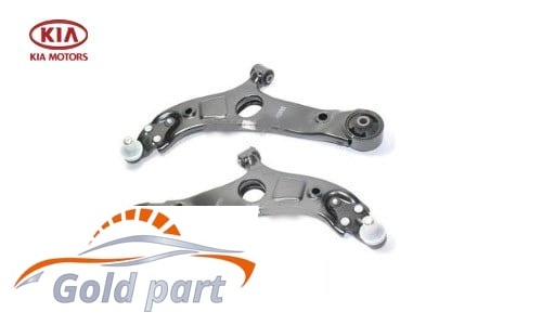 طبق جلو راست کیا اپتیما