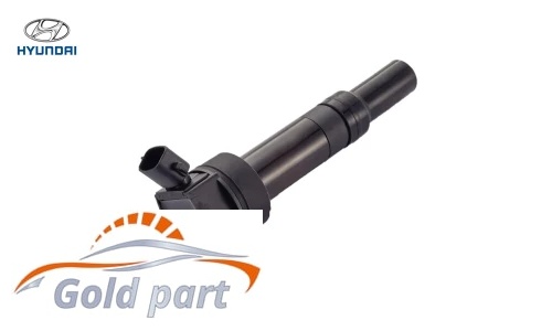 کوئل النترا