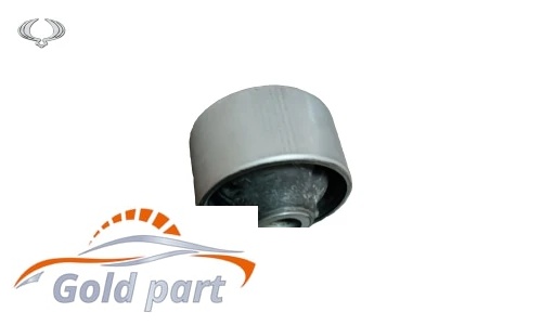 بوش طبق بزرگ جلو راست سانگ یانگ تیوولی