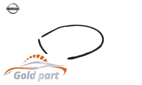 نوار خار درب عقب راست نیسان ماکسیما