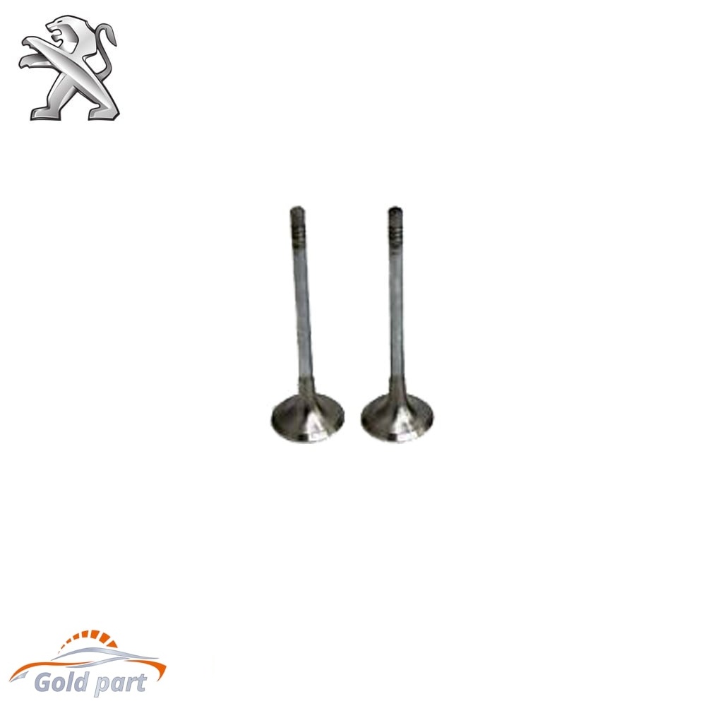 سوپاپ دود پژو301