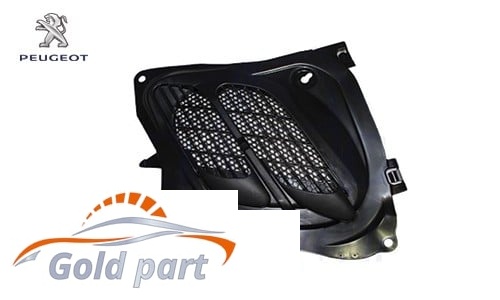 دریچه هوا در موتور پژو 206