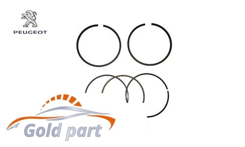 رینگ موتور پژو 206