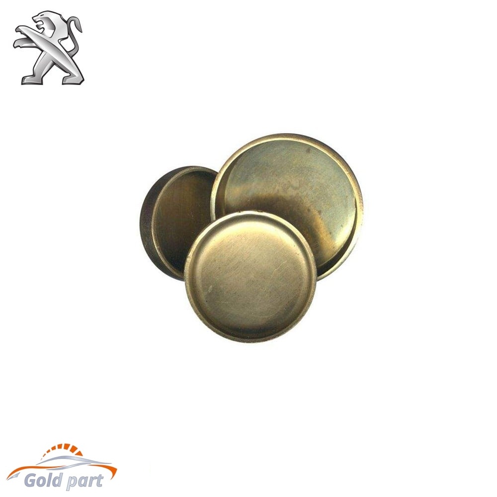 پولک آب سیلندر پژو 206