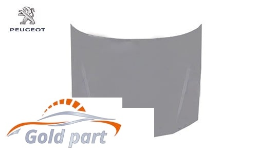 درب موتور پژو 405