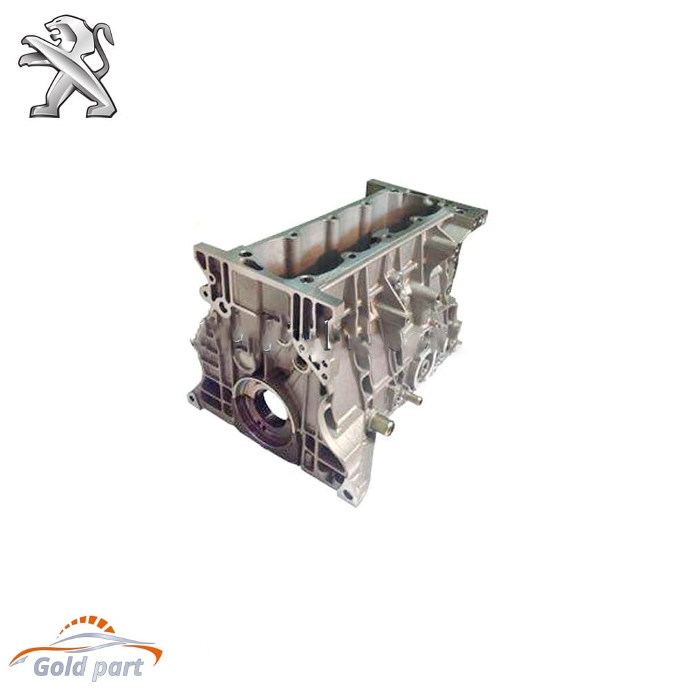 بلوک سیلندر پژو405