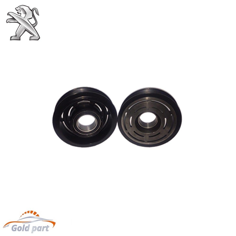 پولی کولر پژو 405