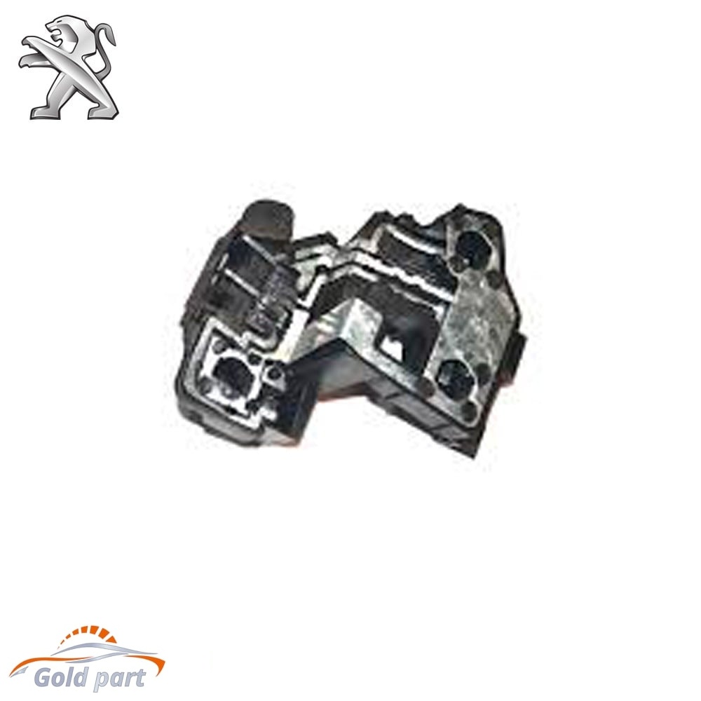 سوکت خطر جدید پژو 206 SD