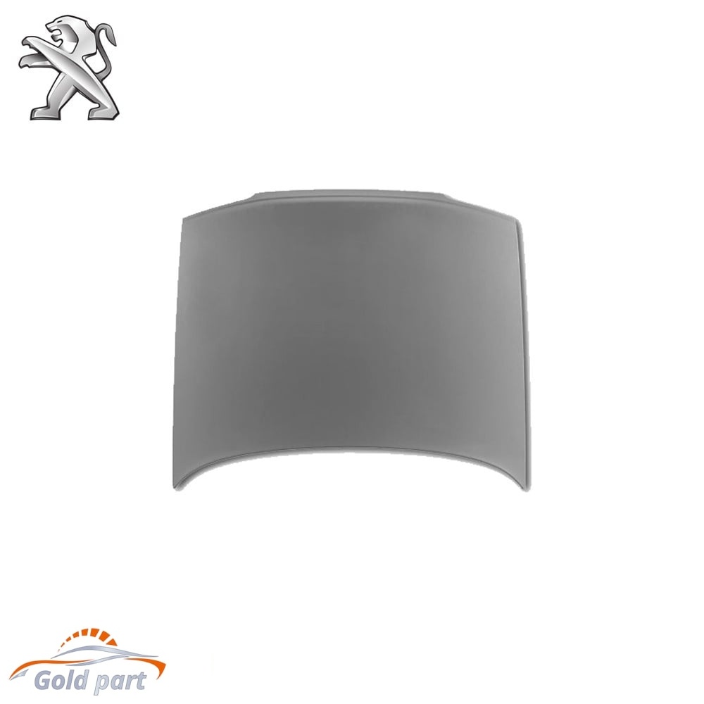 درب موتور پژو RD