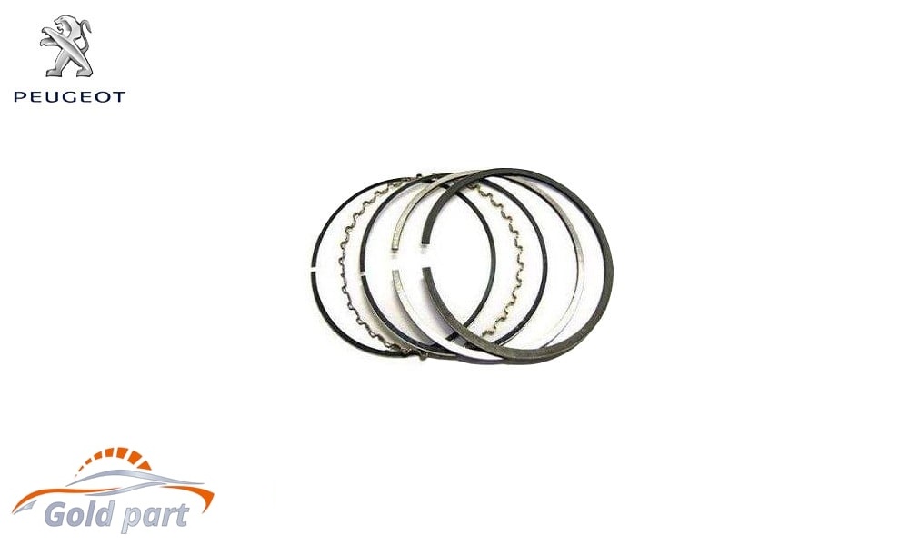 رینگ موتور پژو پارس