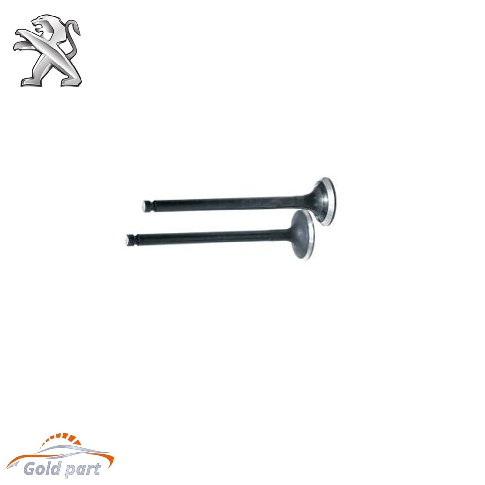 سوپاپ دود و هوا پژو RD