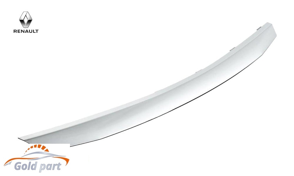 زه استیل جلو پنجره رنو ساندرو