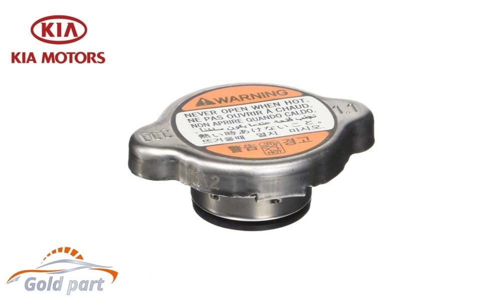 درب رادیاتور ریو