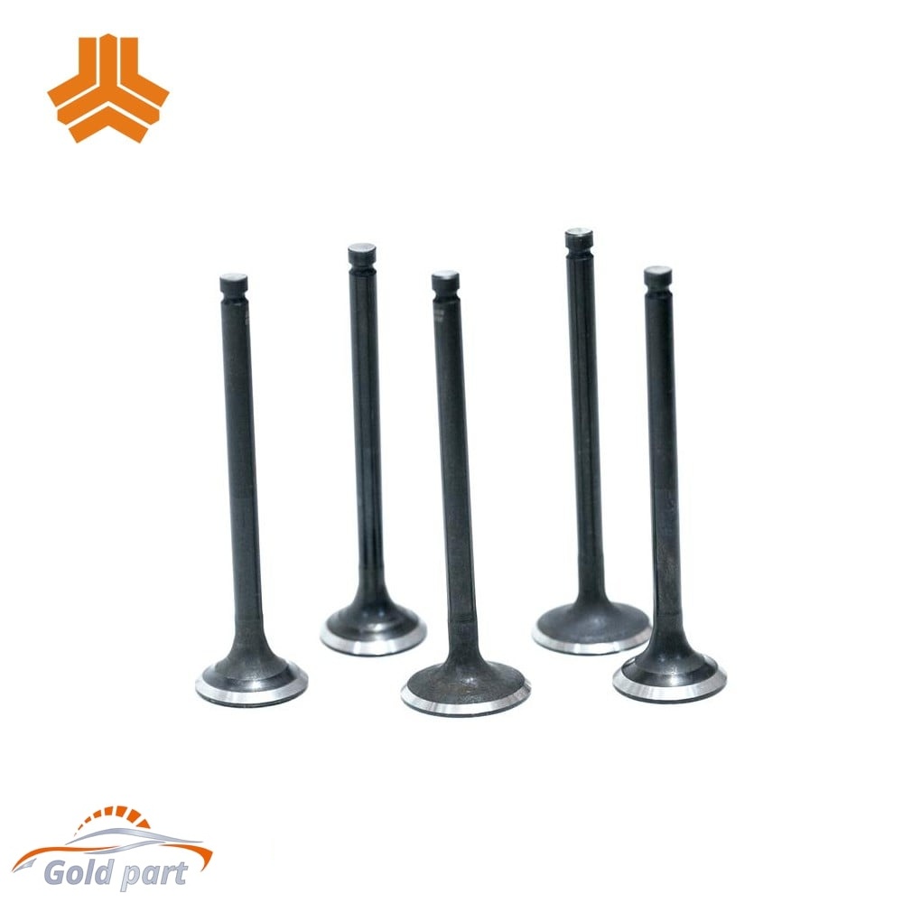 سوپاپ دود و بنزین پراید